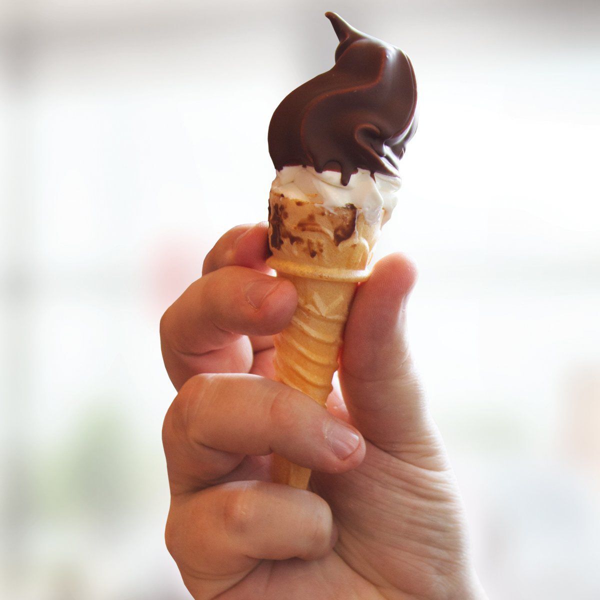 Lion's choice cone
